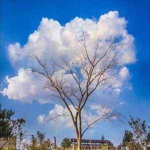 Meet your Posher, Jack